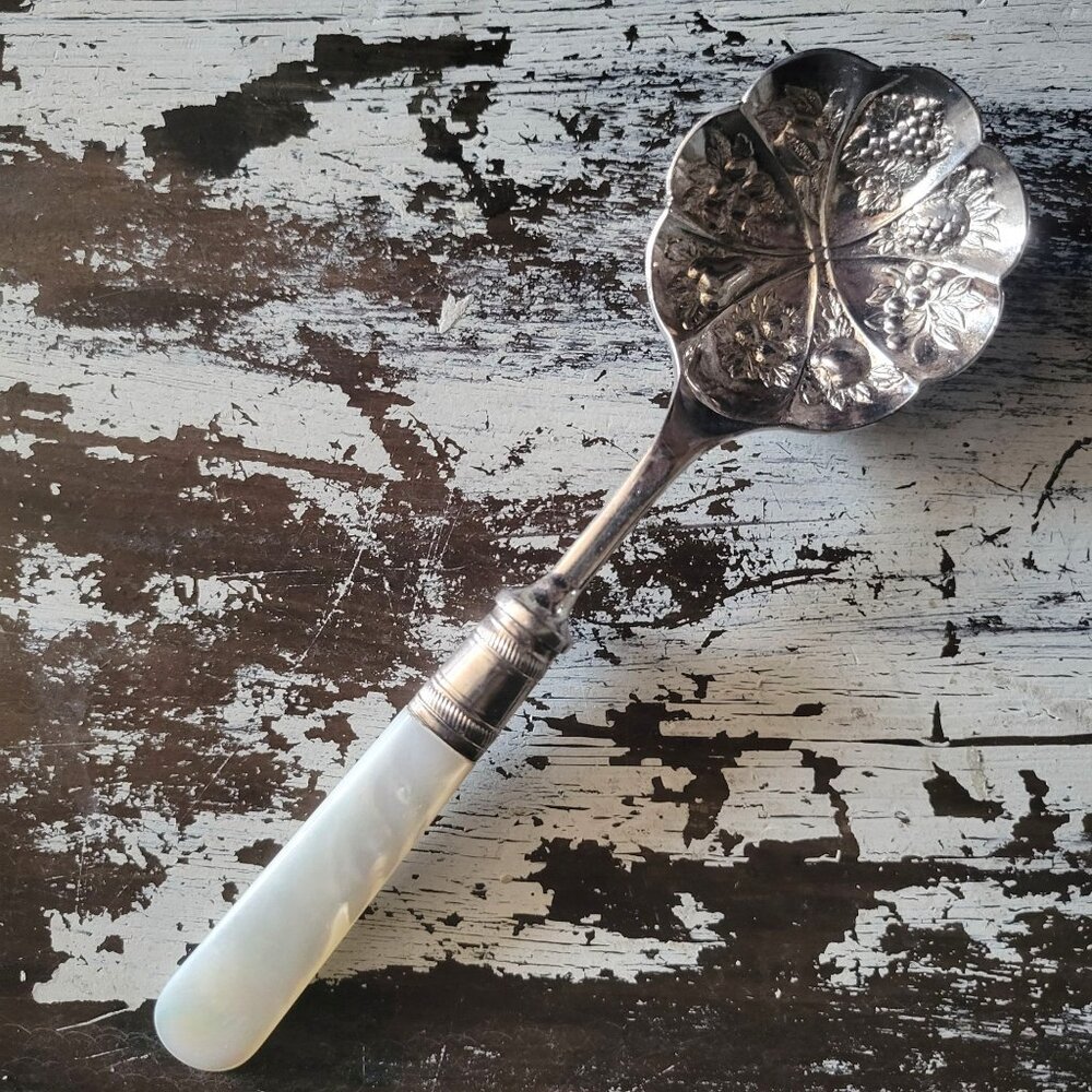 Vintage Silverplate Berry Spoon w/ Embossed Fruit Motifs Mother-Of-Pearl Handle